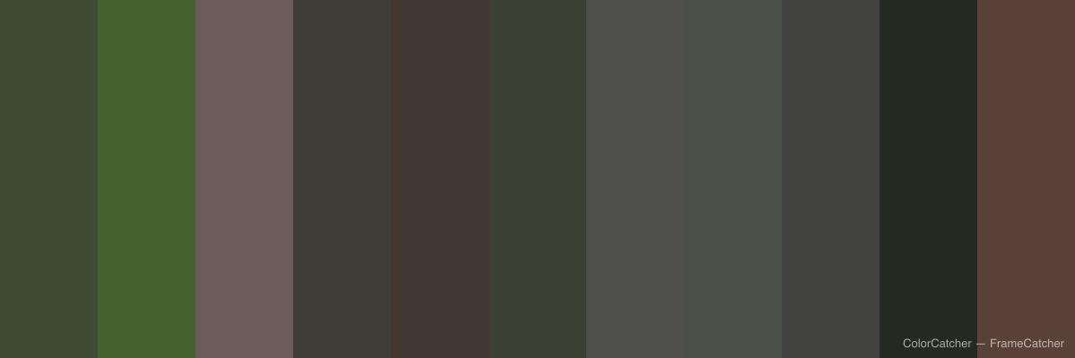 ColorCatcher